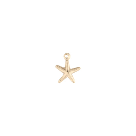 Starfish Charm, Gold-Filled 14k, for Permanent Jewelry