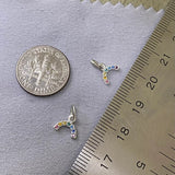 Rainbow Charm - F23